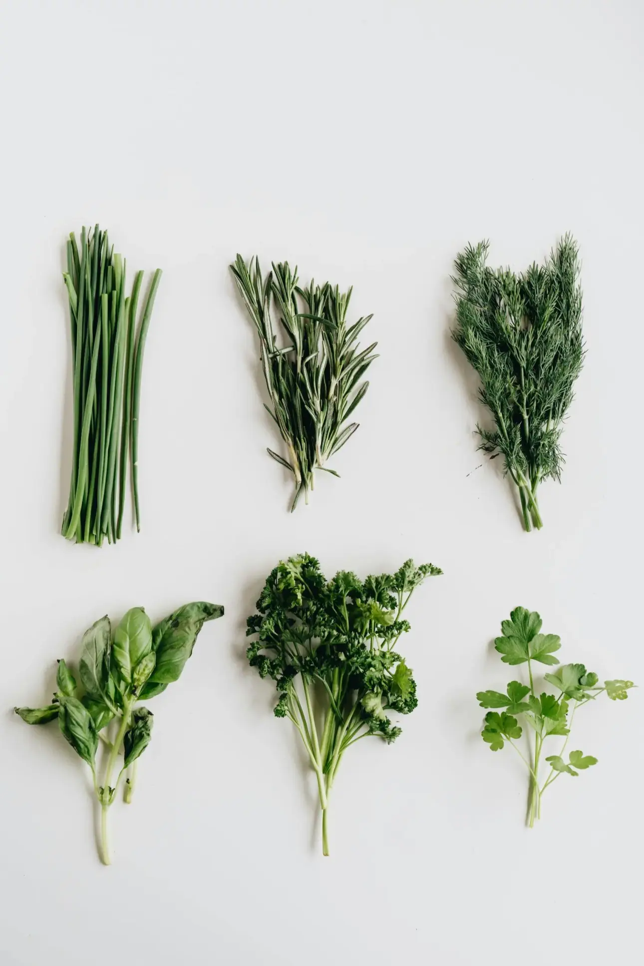 Quelles herbes et épices devraient être dans votre cuisine
