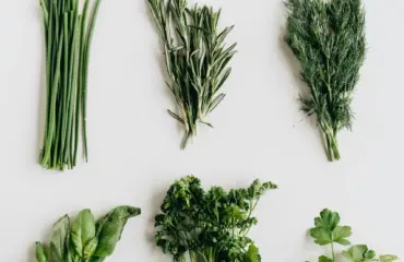 quelles herbes et épices devraient être dans votre cuisine Quelles herbes et épices devraient être dans votre cuisine
