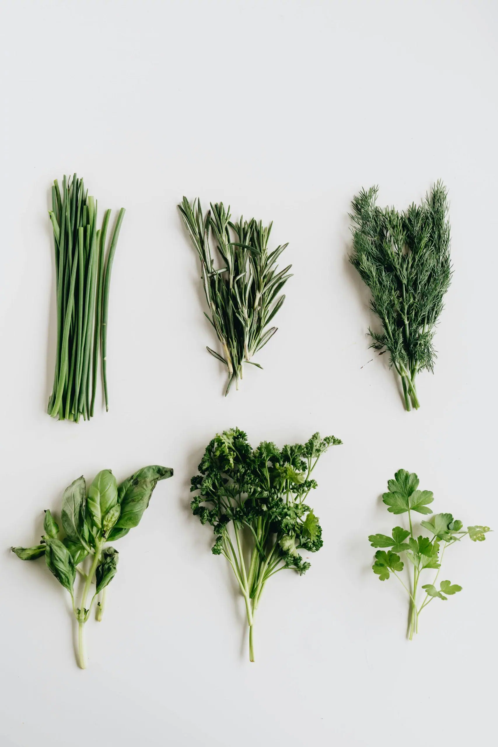 Quelles herbes et épices devraient être dans votre cuisine