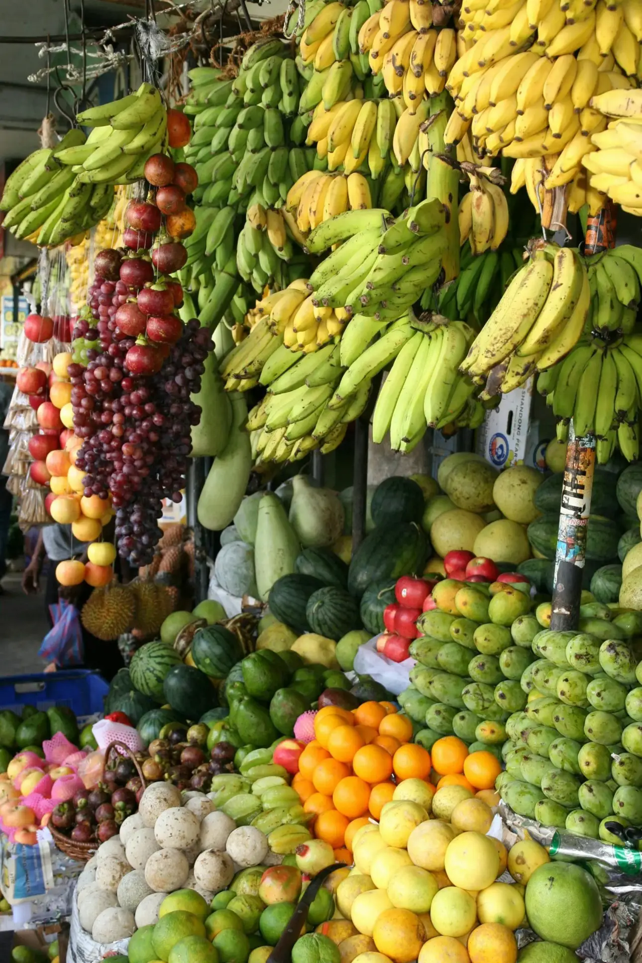 Quels fruits contiennent le plus de vitamine C
