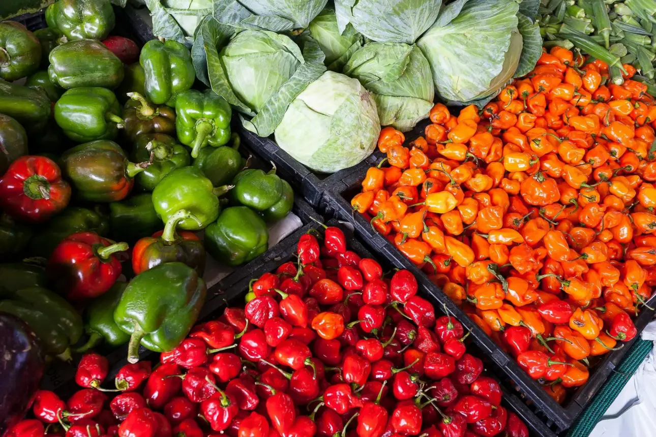 Quels légumes contiennent le plus de vitamine C Un guide pratique par Light In Fitness