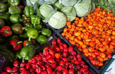 quels légumes contiennent le plus de vitamine c un guide pratique par light in fitness Quels légumes contiennent le plus de vitamine C Un guide pratique par Light In Fitness