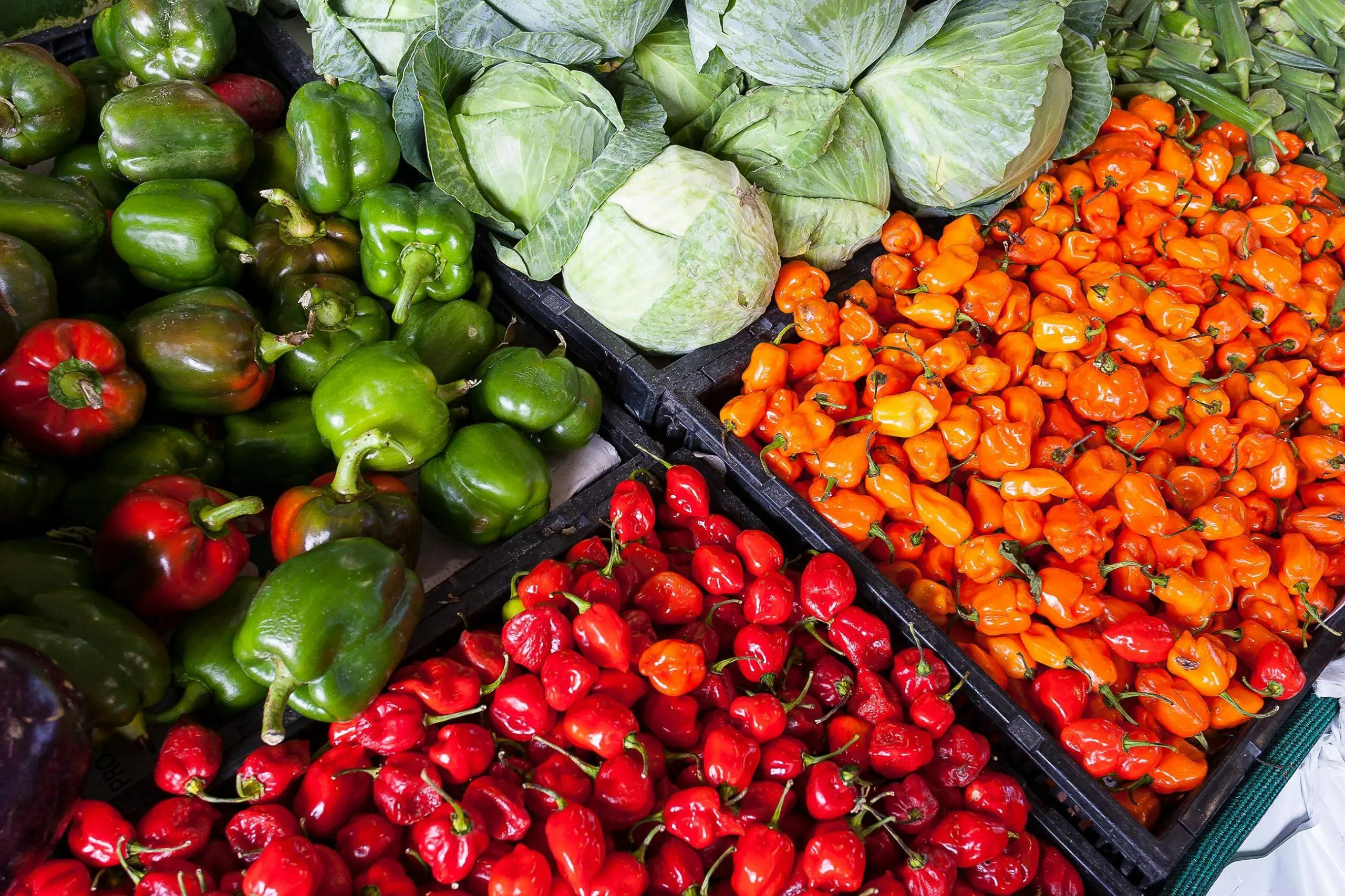 Quels légumes contiennent le plus de vitamine C Un guide pratique par Light In Fitness