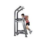 Chaise Romaine Tractions Series Multifunctional Tower Dips O'Live