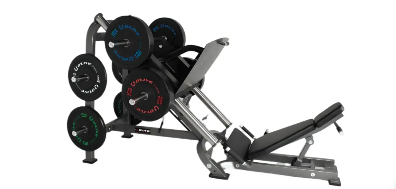 machines de musculation noms, fonctions et guide d’achat complet