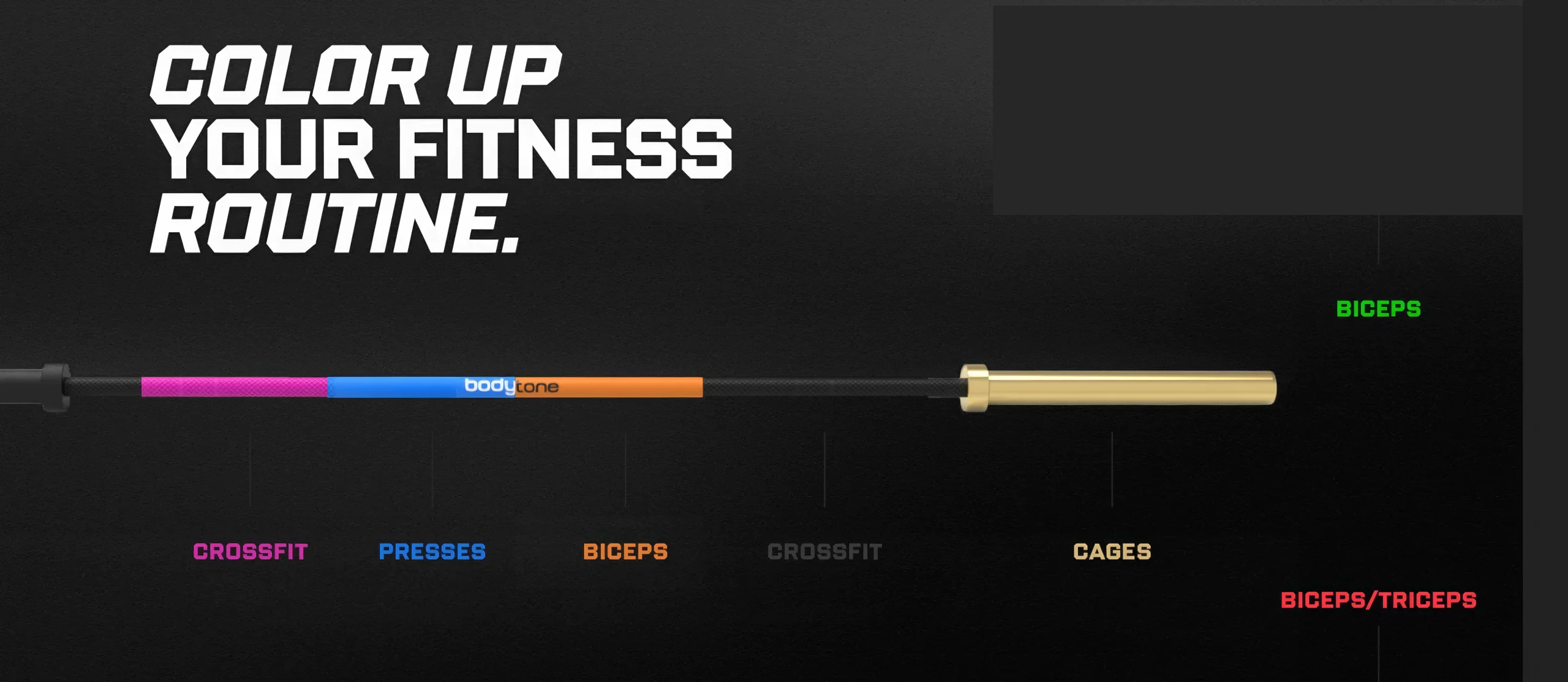 barre olympique – les différentes couleurs avec light in fitness by bodytone Barre Olympique – Les Différentes Couleurs avec Light In Fitness by Bodytone