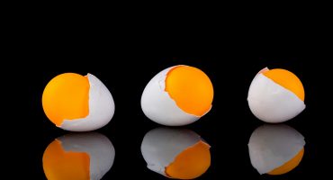 Compléments protéinés pour la perte de poids  lesquels choisir 