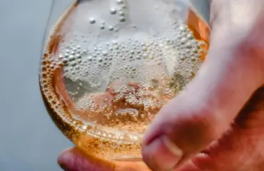 6 bienfaits possibles du vinaigre de cidre de pomme (vcp), appuyés par la science — et les risques à connaître 6 bienfaits possibles du vinaigre de cidre de pomme (VCP), appuyés par la science — et les risques à connaître