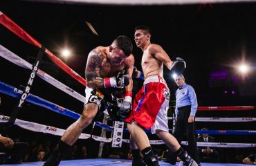 Comment choisir votre discipline de boxe et votre équipement pour débuter