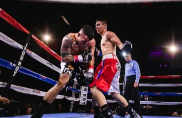 comment choisir votre discipline de boxe et votre équipement pour débuter Comment choisir votre discipline de boxe et votre équipement pour débuter