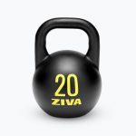 Kettlebells de compétition Signature Steel par Steve Cotter 20 kg