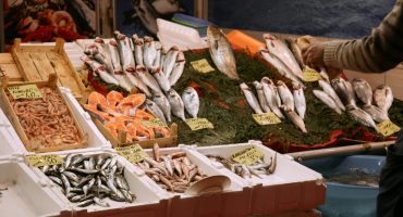 QUELLES SONT LES DIFFÉRENCES ENTRE LES POISSONS TENEUR EN PROTÉINES, OMÉGA-3, CALORIES ET BIENFAITS DES DIFFÉRENTES ESPÈCES