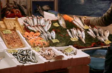 quelles sont les diffÉrences entre les poissons teneur en protÉines, omÉga 3, calories et bienfaits des diffÉrentes espÈces Assortiment de poissons variés — riche teneur en protéines et oméga-3, source de minéraux et de bienfaits santé, nutrition équilibrée, calories maîtrisées, idéal pour régime fitness et alimentation sportive