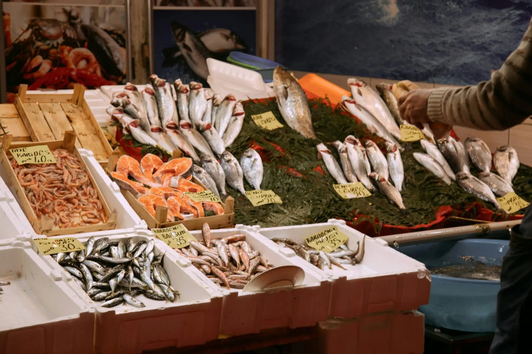 Assortiment de poissons variés — riche teneur en protéines et oméga-3, source de minéraux et de bienfaits santé, nutrition équilibrée, calories maîtrisées, idéal pour régime fitness et alimentation sportive