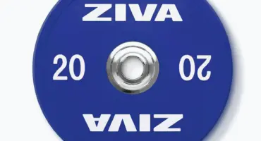 Quelles marques de matériel pro sont les plus robustes face aux chocs répétés des disques et barres lâchés