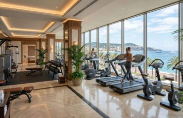 Article 42 featured image