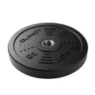 Disque bumper outdoor 10 kg