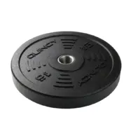 Disque bumper outdoor 10 kg