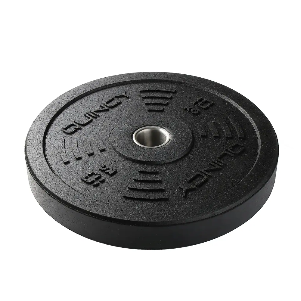 Disque bumper outdoor 10 kg