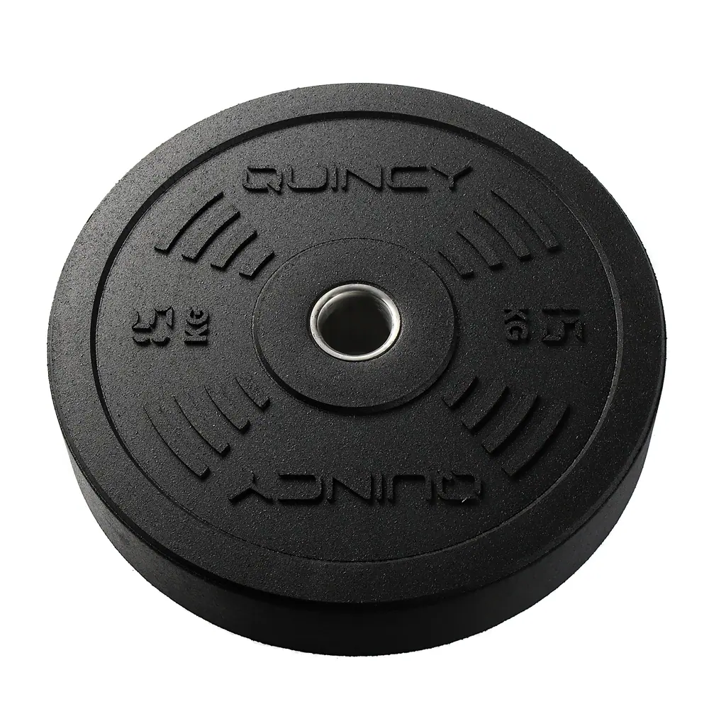 Disque bumper outdoor 15 lb