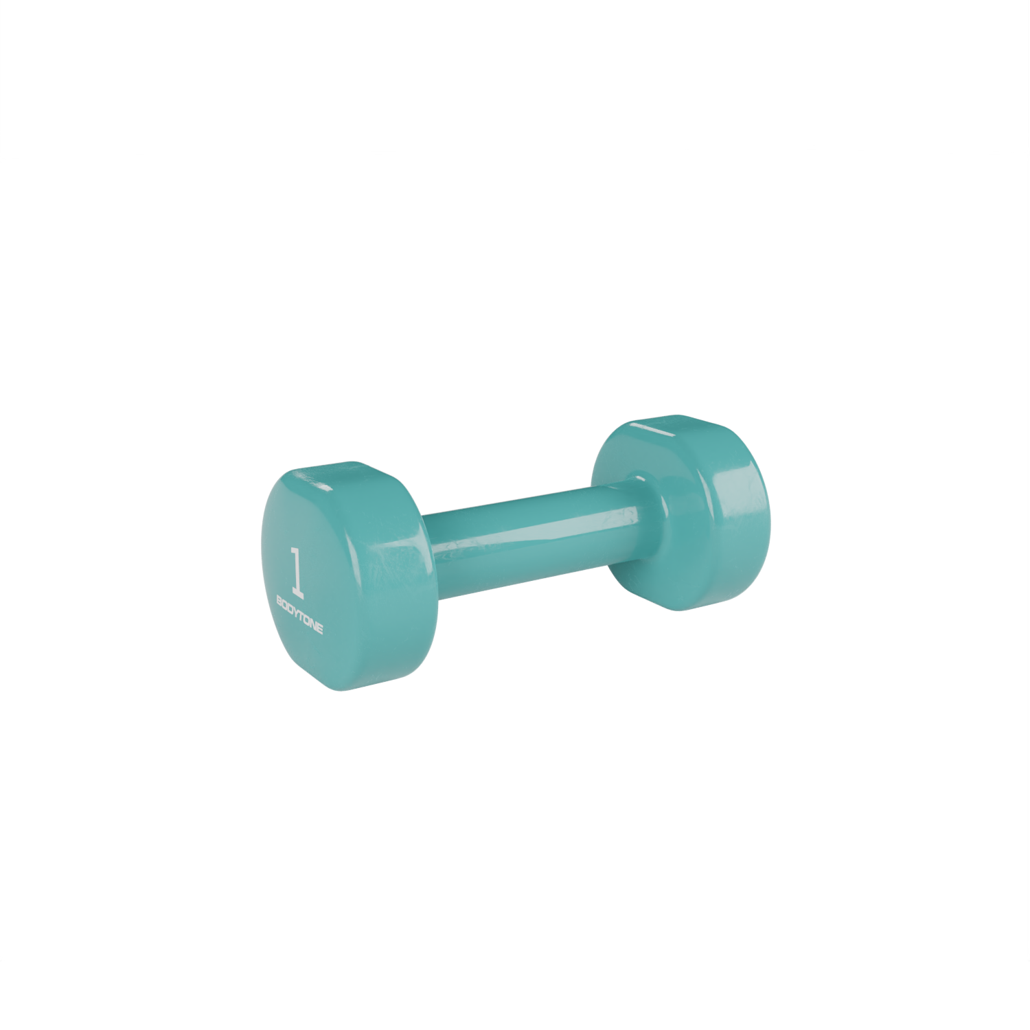 halteres vinyle bodytone 1 kg