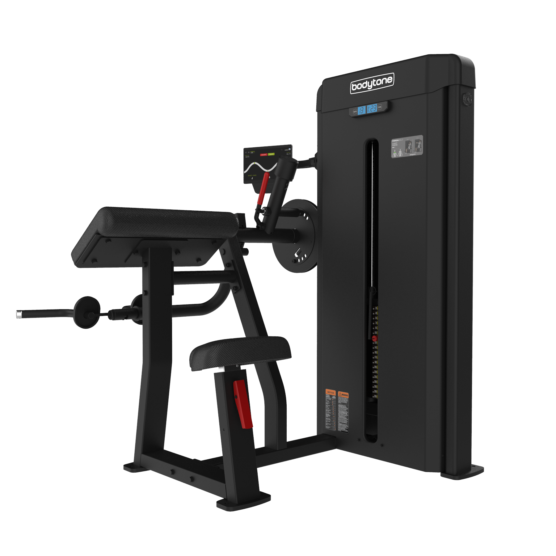 Forza Bold Biceps Triceps FB33v2 Bodytone - vue 3