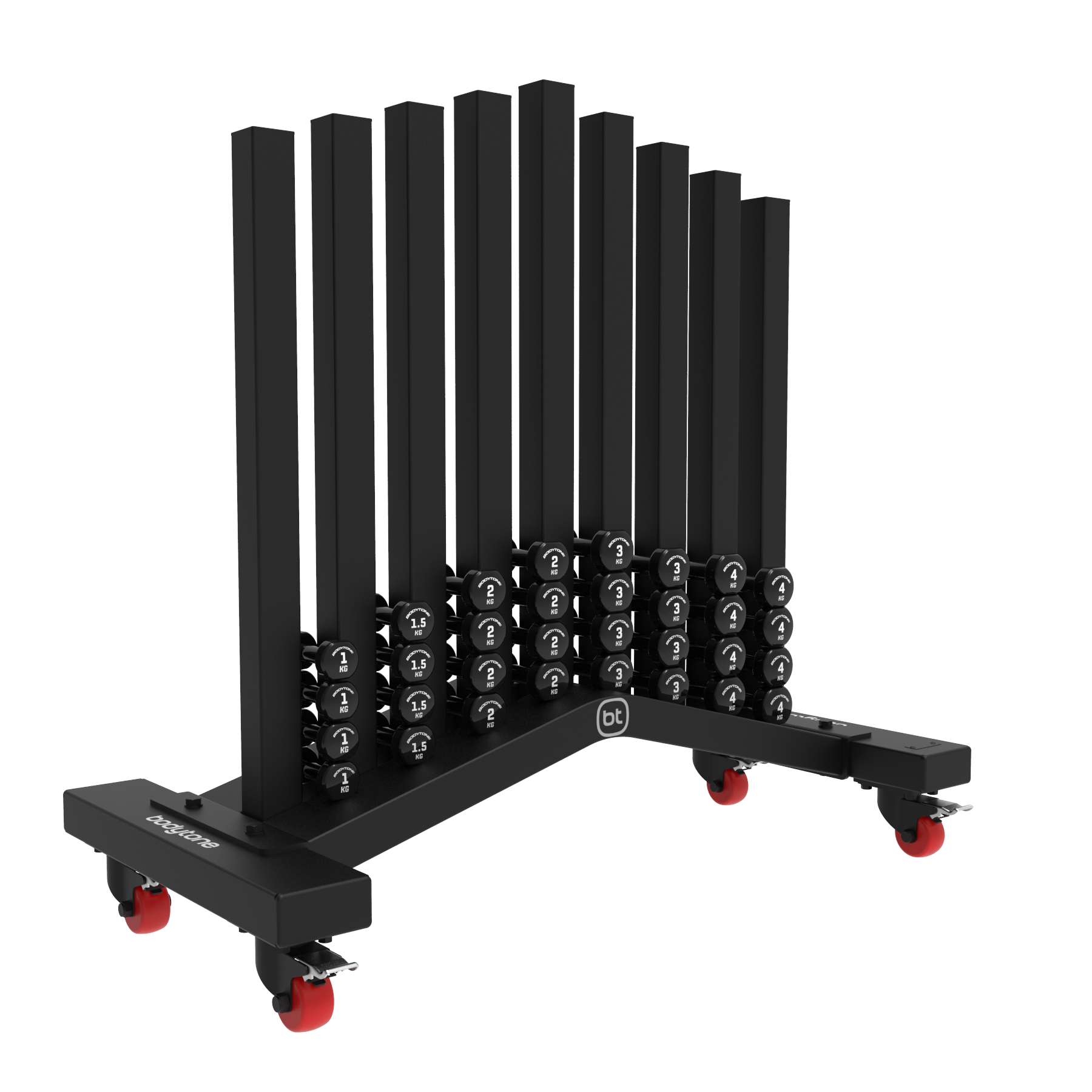support pour halteres vinyle bodytone fr11