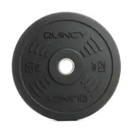 Set 230 lb disques bumper outdoor