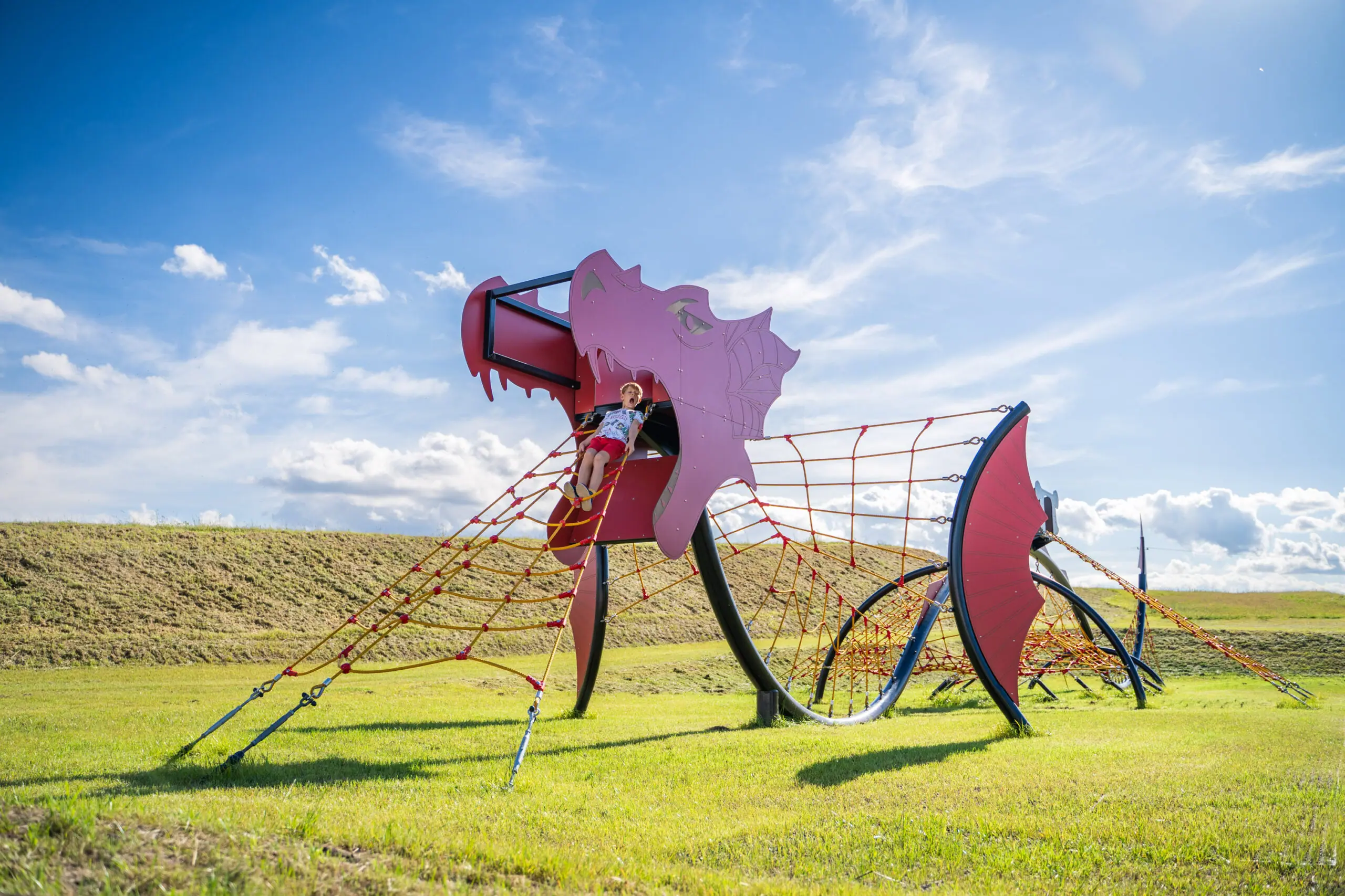 Legendary Dragon Rope Play Structure