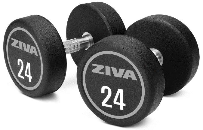Ziva: gabbie, rack e rig per CrossFit