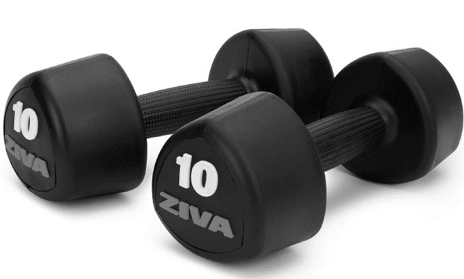 Ziva: gabbie, rack e rig per CrossFit