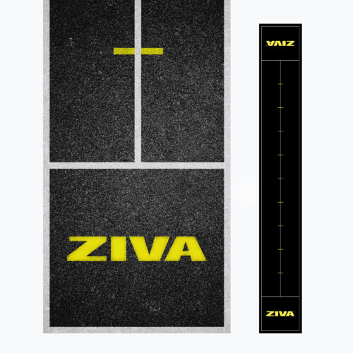 Cardio Velocity Ziva: remos, SkiErg, air bikes