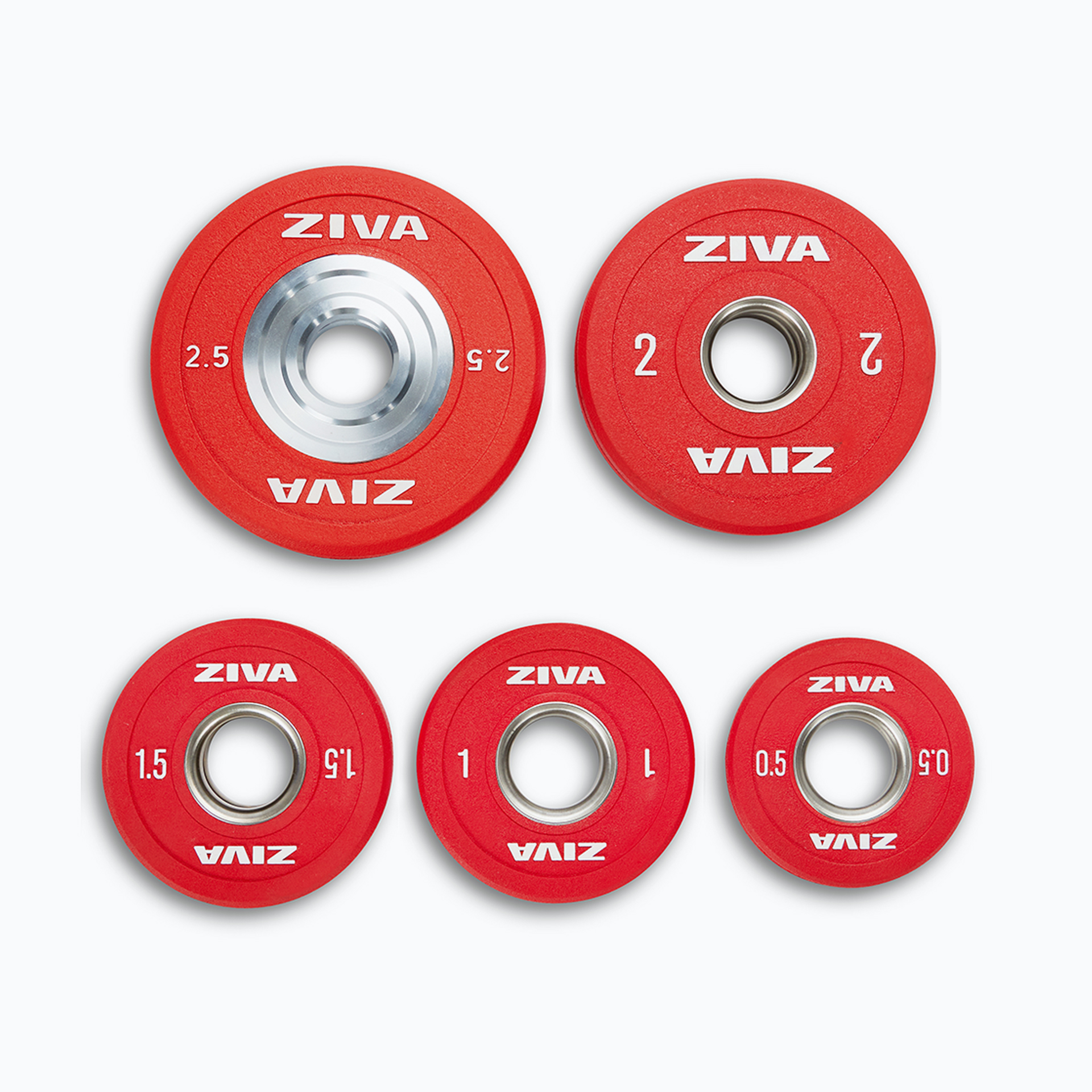 Ziva: gabbie, rack e rig per CrossFit