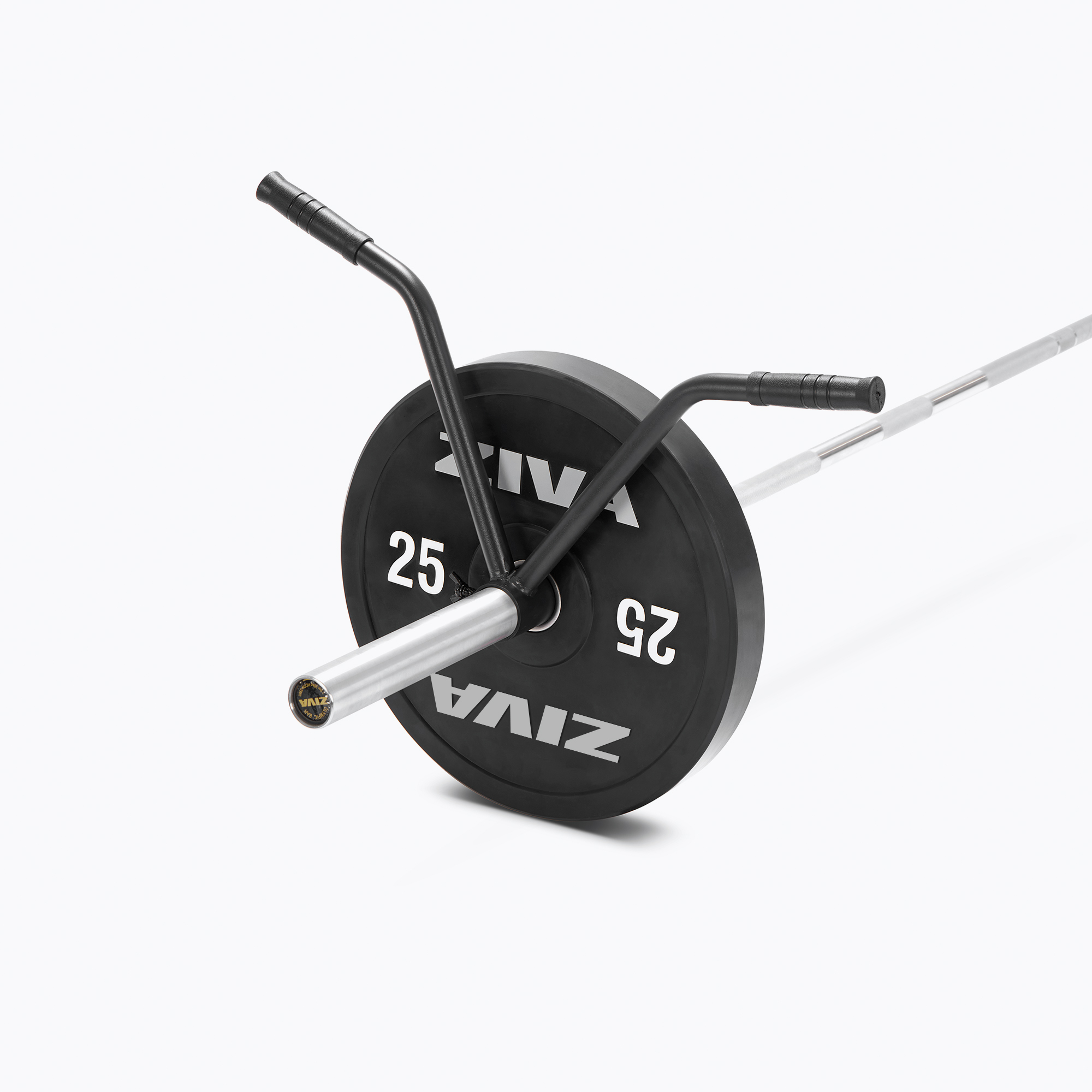 Ziva: gabbie, rack e rig per CrossFit