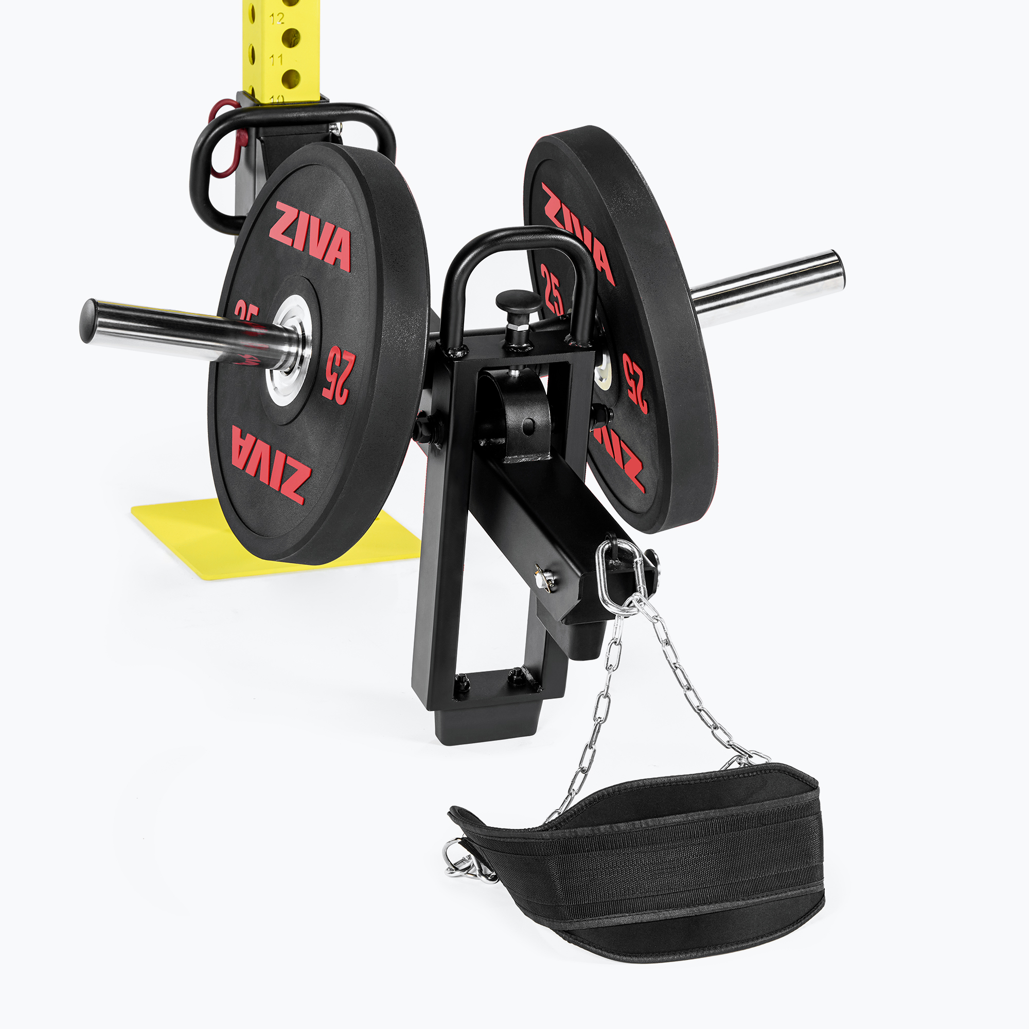 Ziva: gabbie, rack e rig per CrossFit